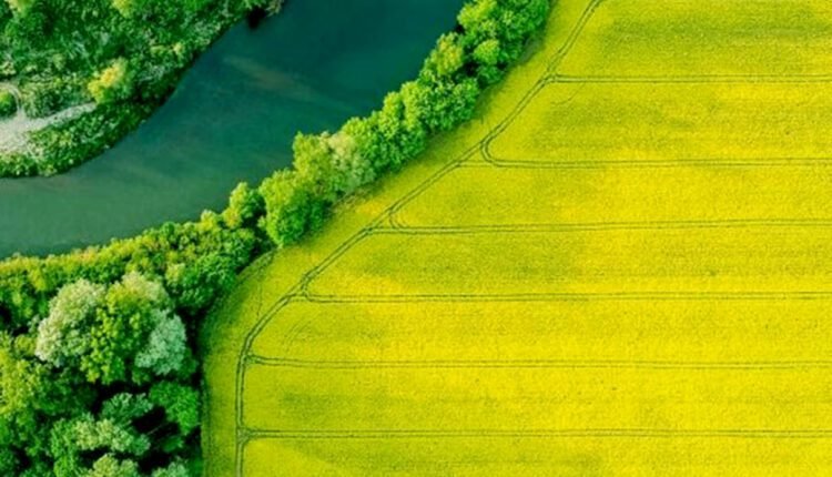 Green field and water