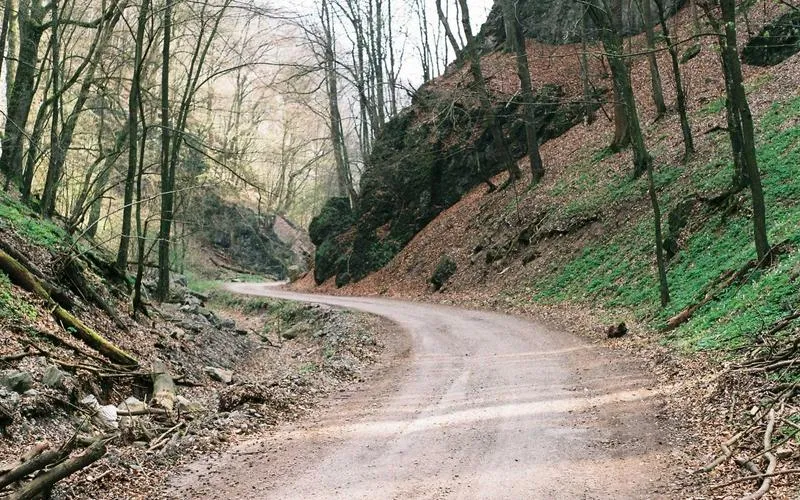 ٹرمپ اور پوتن کے درمیان براہ راست ملاقات کا امکان، یوکرین جنگ بندی پر بات چیت متوقع